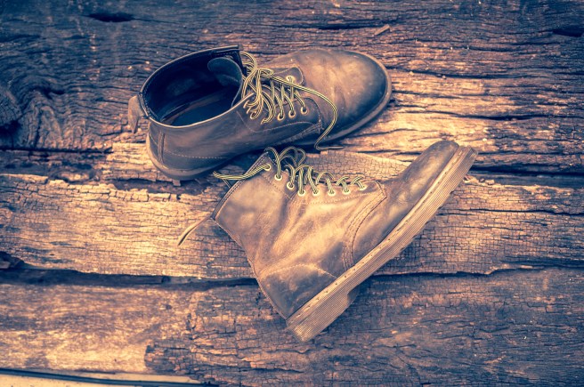 shutterstock_241815454